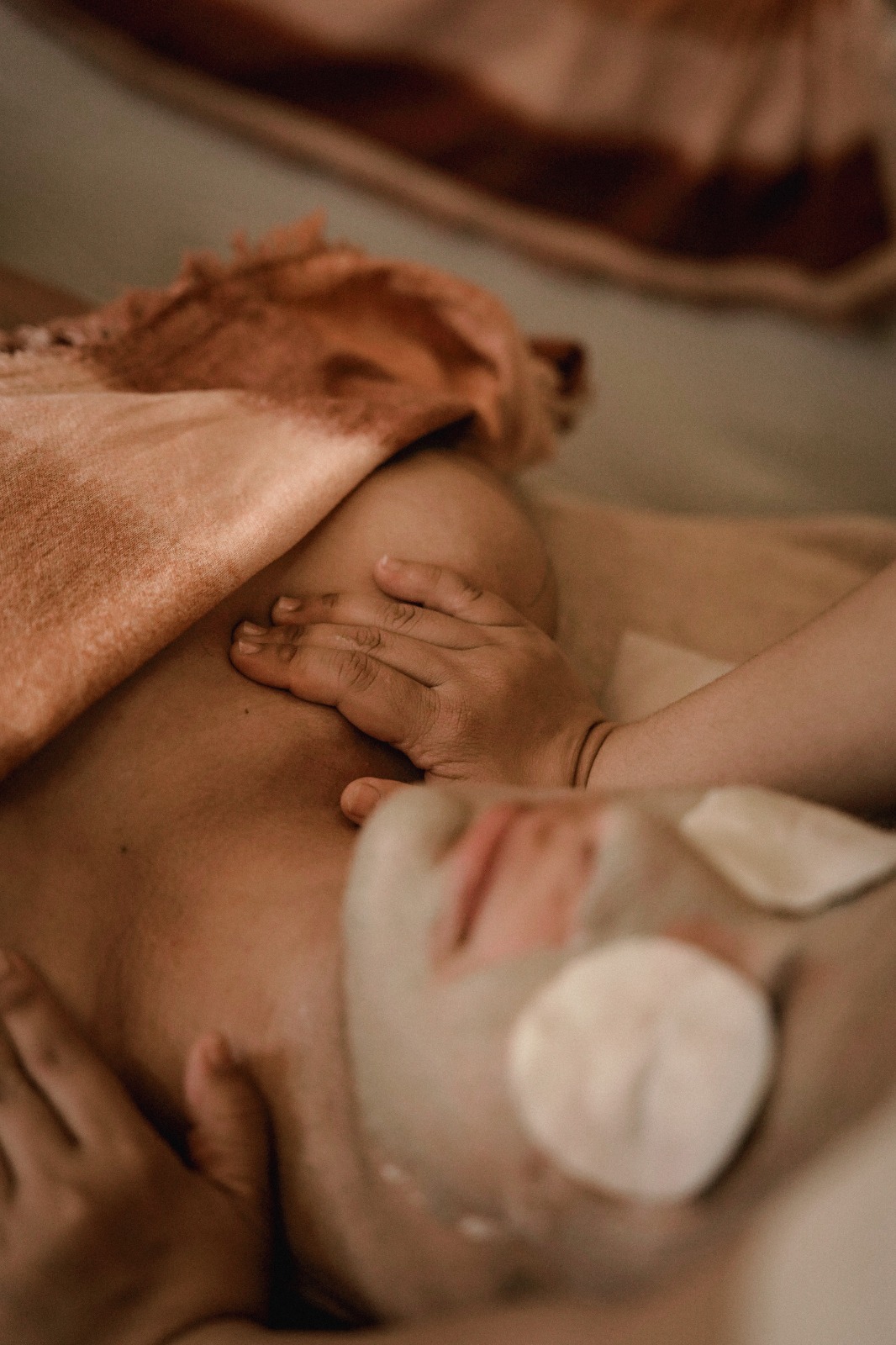 THE LUC PAMPER DREAM